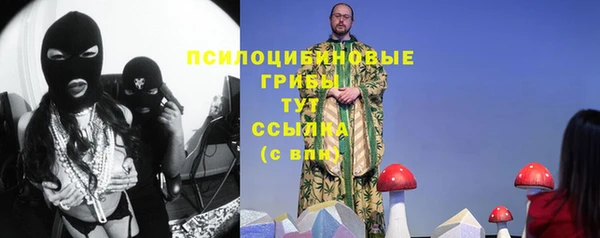 ALPHA PVP Киров