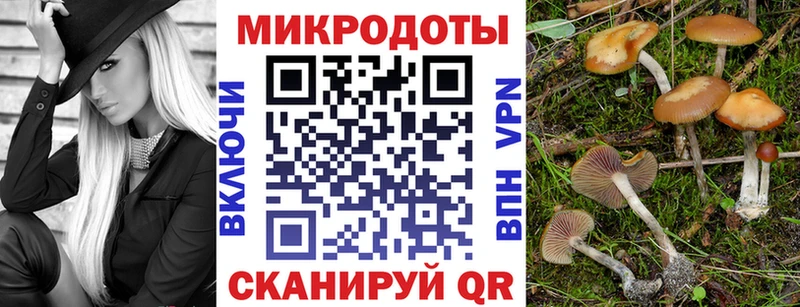 Псилоцибиновые грибы прущие грибы  Шарыпово 